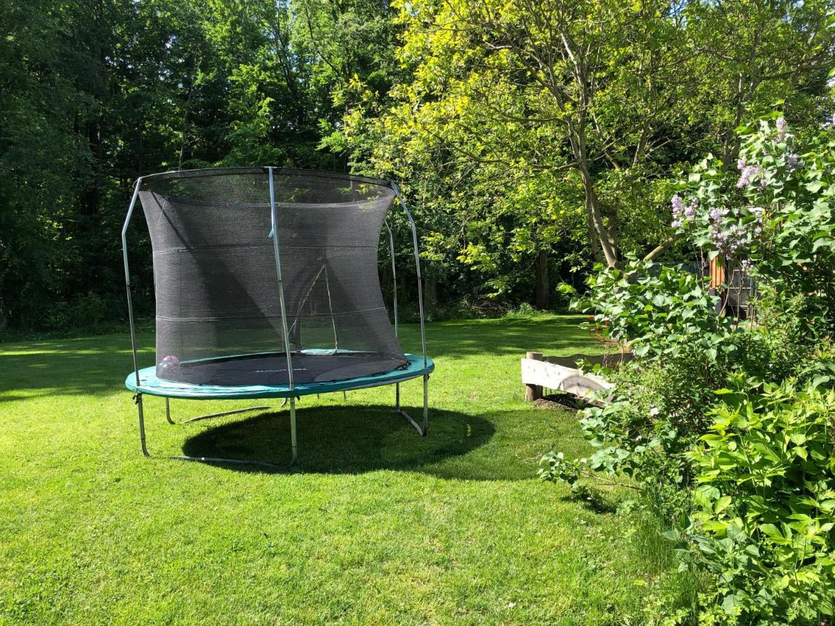 Ferienwohnung Am Waldrand Mit Sauna Biendorf ภายนอก รูปภาพ